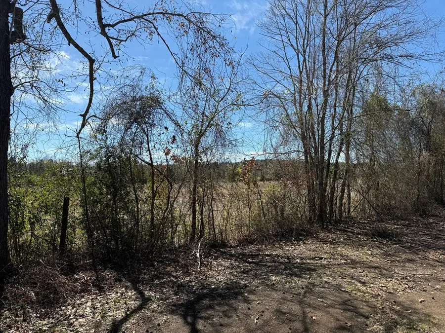 R10334 Basham Road, Pollok, TX 75969 - Image #2