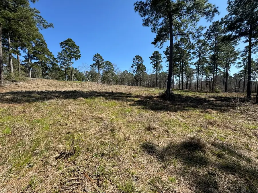 002 Fm 83, Broaddus, TX 75929 - #3