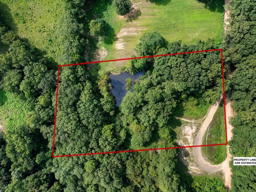 406 County Road 4160, Timpson, TX 75975 - Image #1