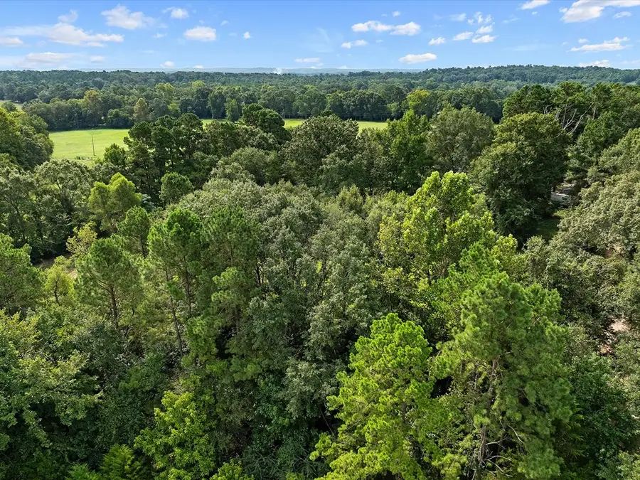 406 County Road 4160, Timpson, TX 75975 - Image #3