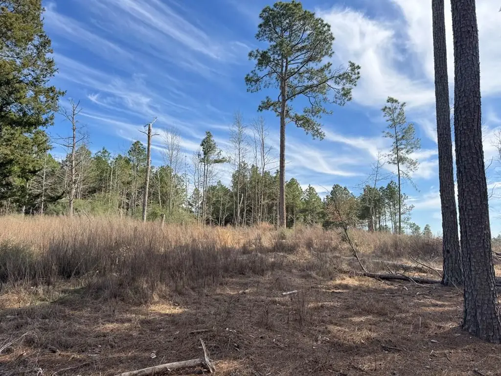 TR 3A Fm 752, Alto, TX 75925 - Image #1