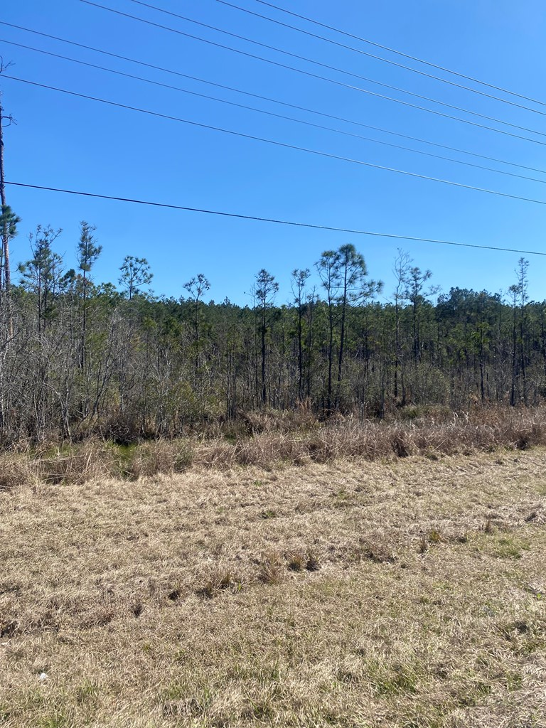33545 Highway 96, Buna, TX 77612 - Image #3