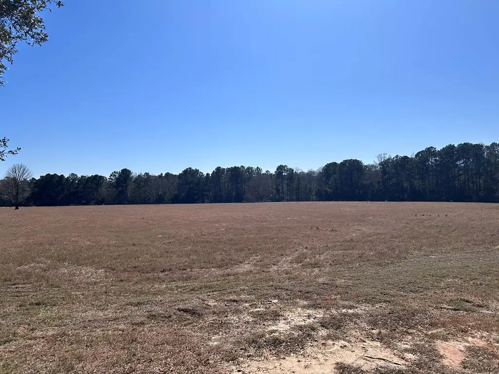 Lot 138 Royal Oaks Drive, Hillister, TX 77624 - Image #1