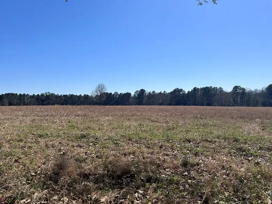 Lot 138 Royal Oaks Drive, Hillister, TX 77624 - Image #2