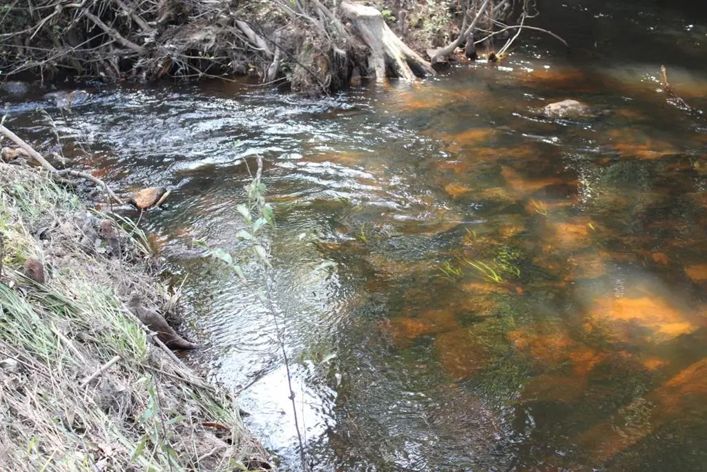 290 County Road 173, Jasper, TX 75951 - Image #1