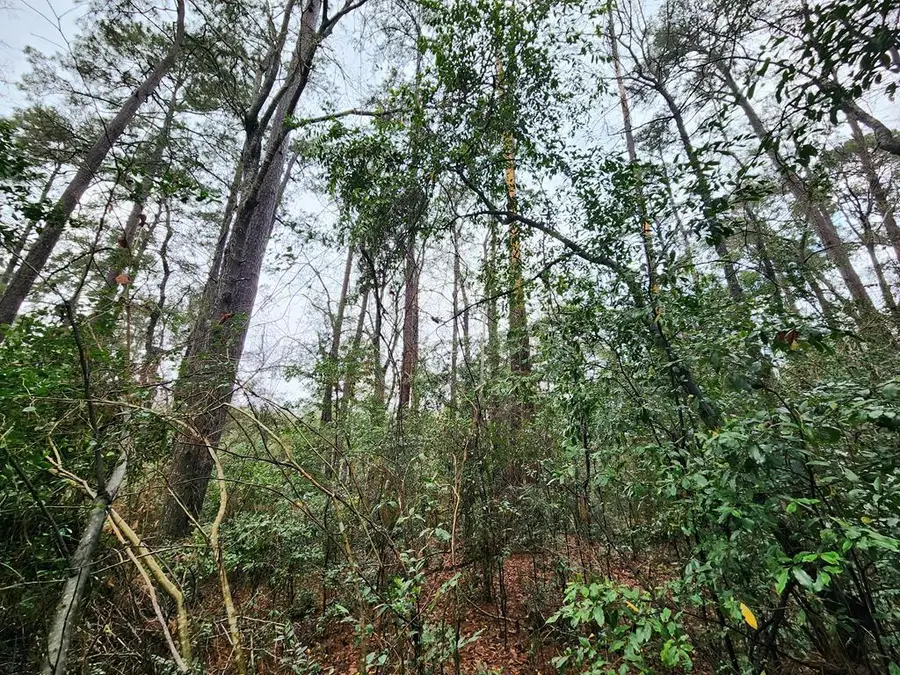 ID 55751 3rd Street, Jasper, TX 75951 - Image #2