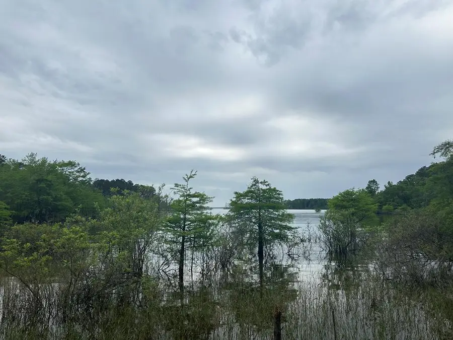 R22310 Pr 6028, Brookeland, TX 75931 - Image #2