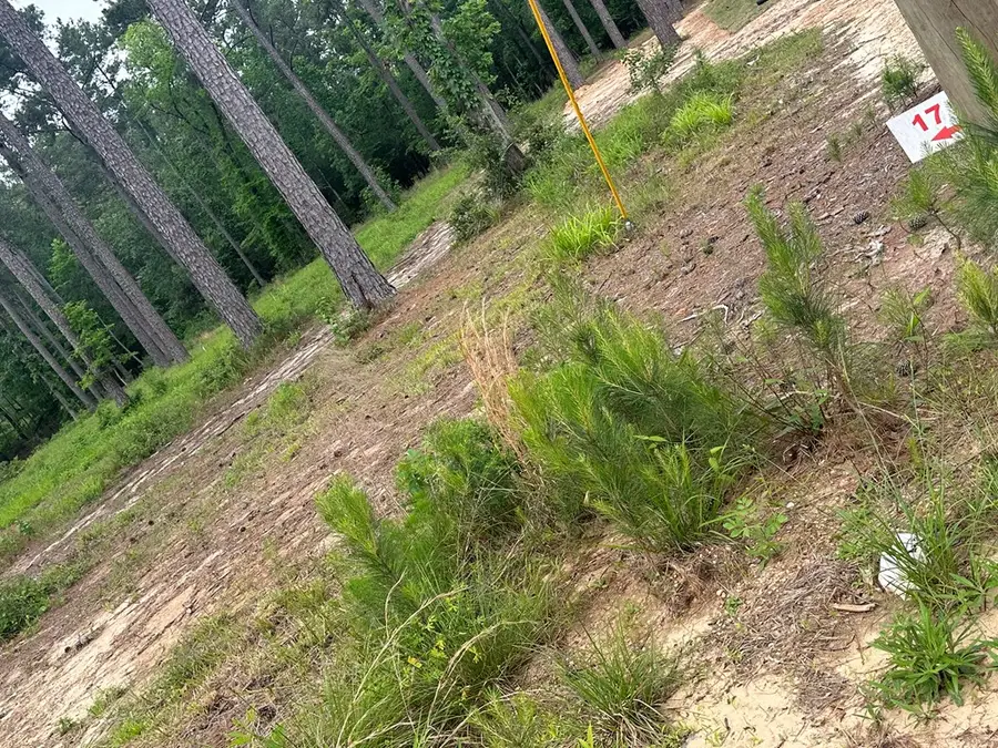 R22310 Pr 6028, Brookeland, TX 75931 - Image #3