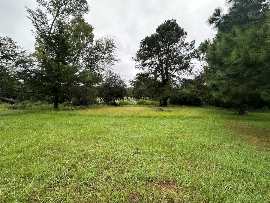 880 Loggins Dr, Bronson, TX 75930 - Image #2