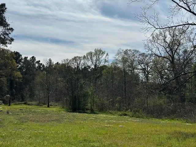 82189 Jim Stephens Rd, Lufkin, TX 75904 - Image #3