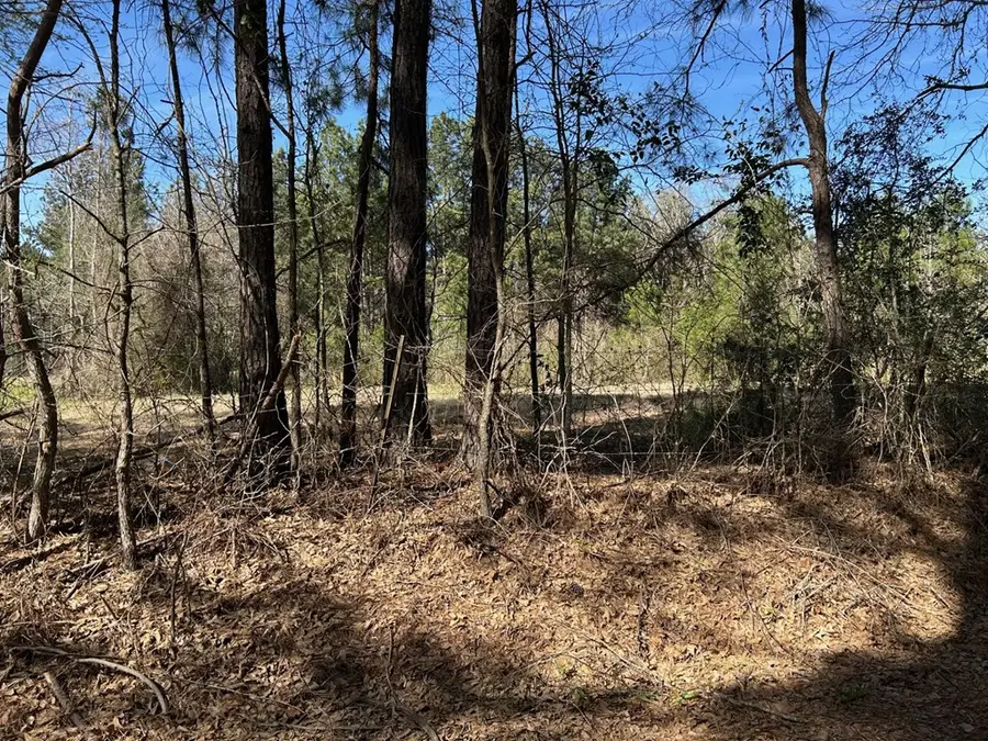 214 Haddaway Lane, Lufkin, TX 75901 - Image #3