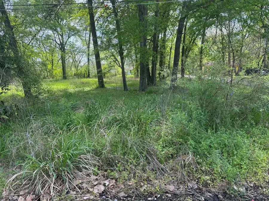 Tract 32 Walker Loop, Lufkin, TX 75904 - Image #3