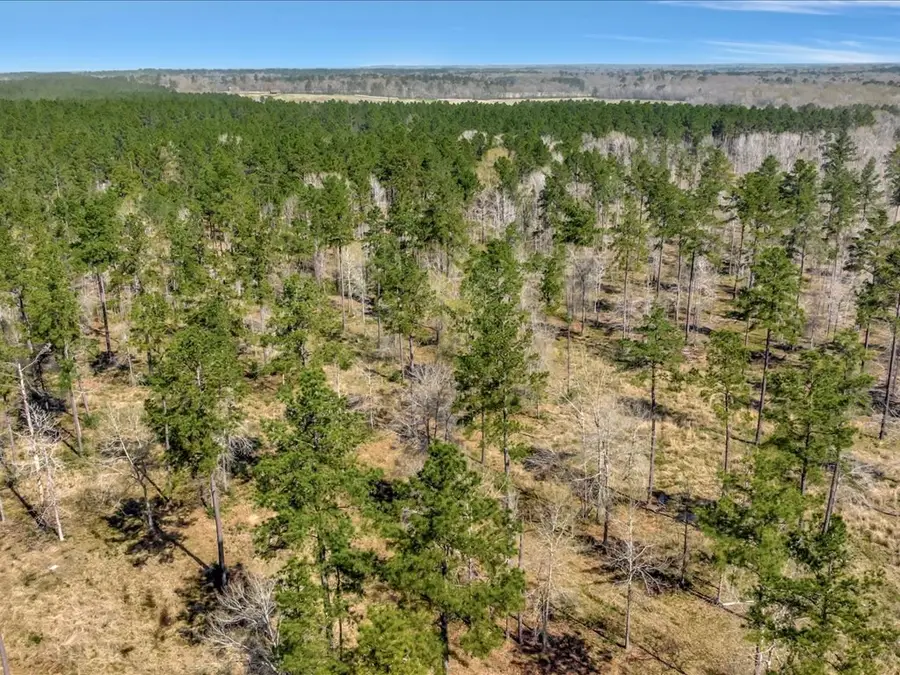 Lot 15 Fm 2497, Lufkin, TX 75904 - Image #3