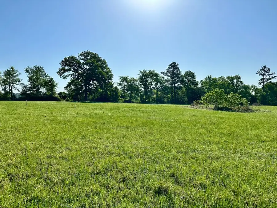 Tract 1 Sullivan Drive, Apple Springs, TX 75926 - #3