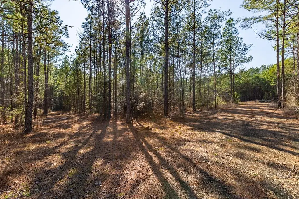 R28371 County Road 411, San Augustine, TX 75972 - Image #1