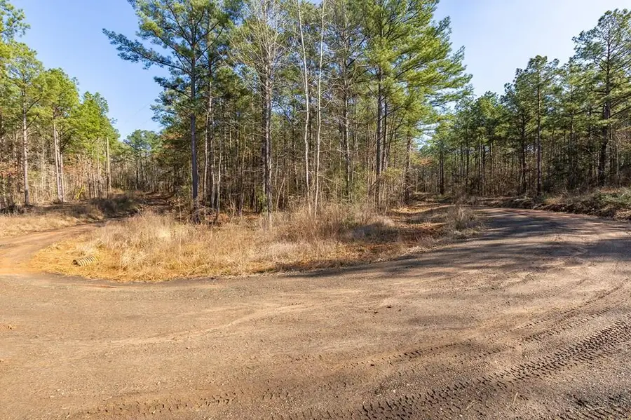 R28371 County Road 411, San Augustine, TX 75972 - Image #2