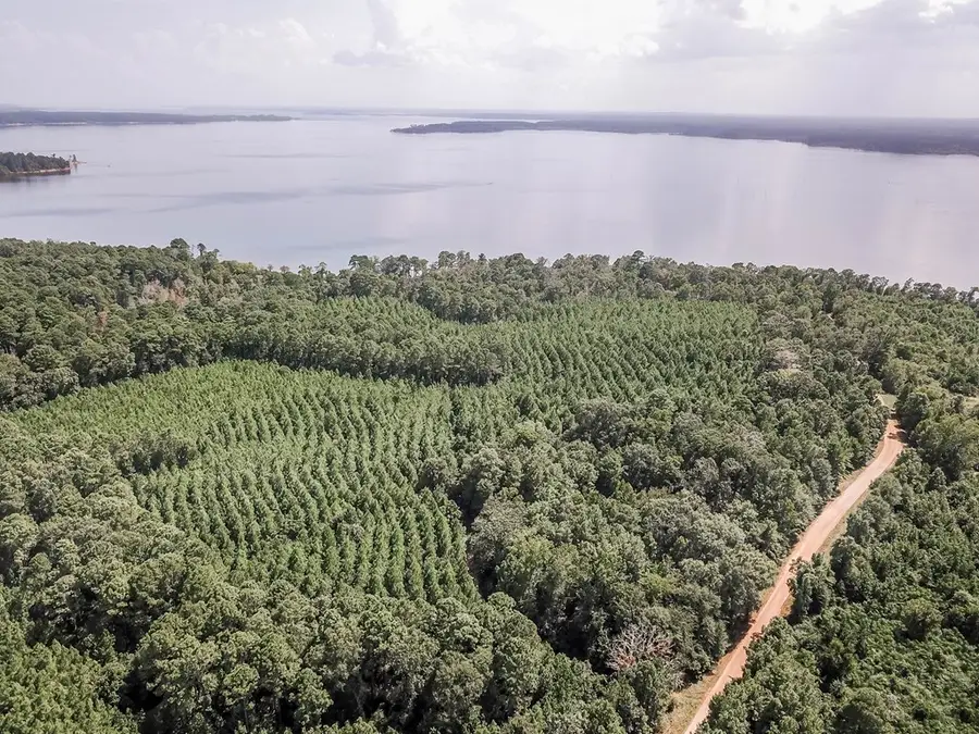 Lots 1-10 County Road 482, Etoile, TX 75944 - Image #3