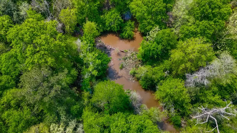 11708 10599 Fm 363, Newton, TX 75966 - #2