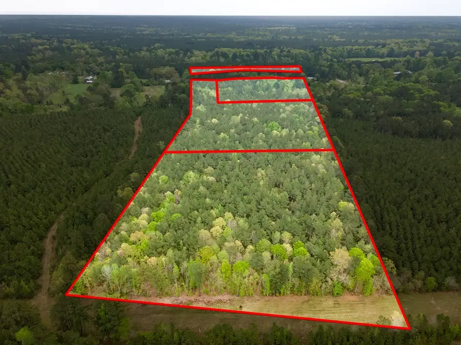 201-b Magasco Drive, Pineland, TX 75968 - Image #3