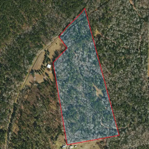 AB 247-1 Cr 416, San Augustine, TX 75972