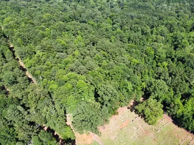 AB 247-1 Cr 416, San Augustine, TX 75972 - Image #3