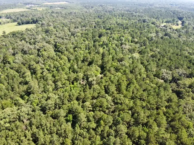 AB 247-2 Cr 416, San Augustine, TX 75972 - Image #2