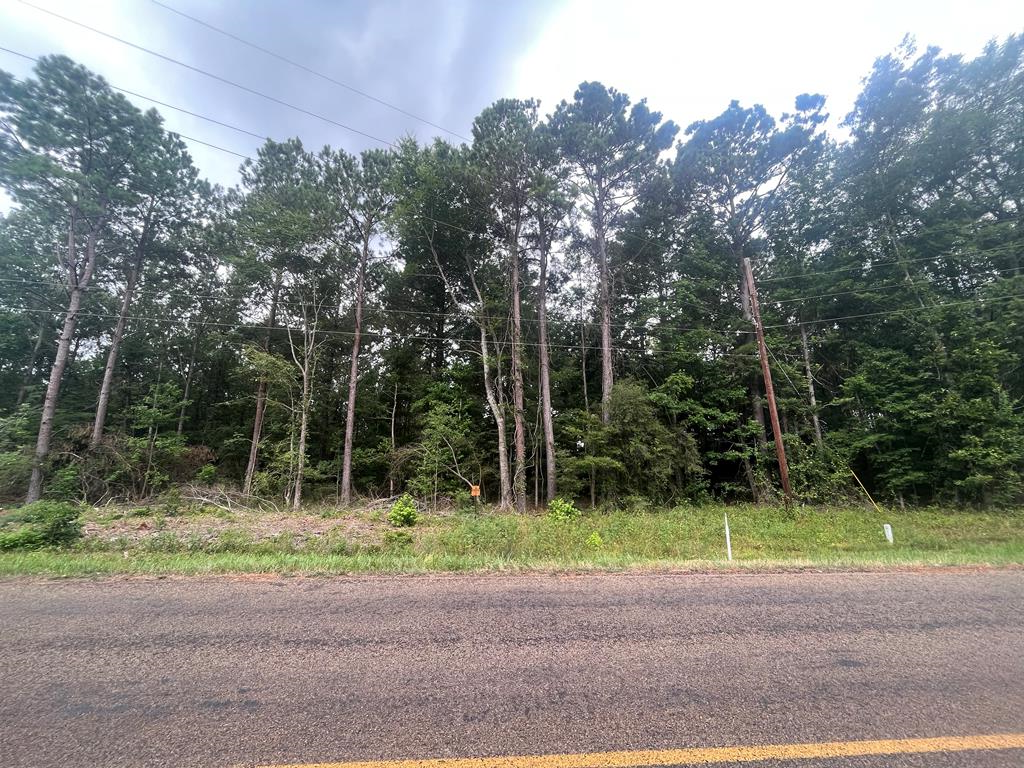 TRACT 57 Fm 1751, San Augustine, TX 75972 - #1
