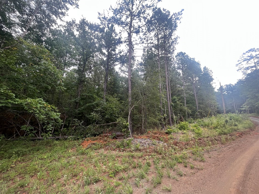 TRACT 57 Fm 1751, San Augustine, TX 75972 - #2