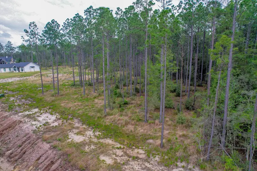 139 Crazy Horse Drive, Brookeland, TX 75931 - Image #2