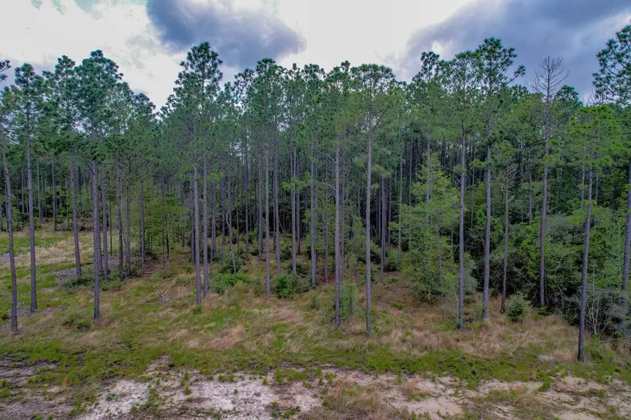 139 Crazy Horse Drive, Brookeland, TX 75931 - Image #3