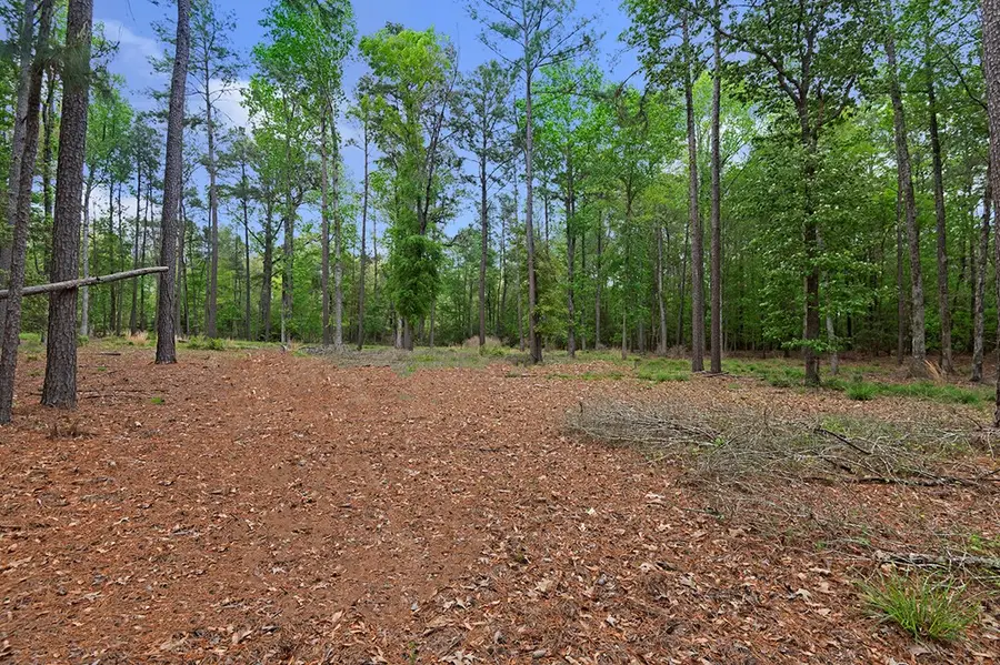 46-48 White Pine Drive, Brookeland, TX 75931 - Image #3