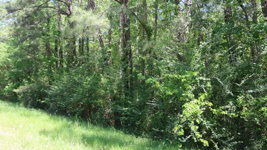 13199 State Highway 87 N, Burkeville, TX 75932 - Image #2