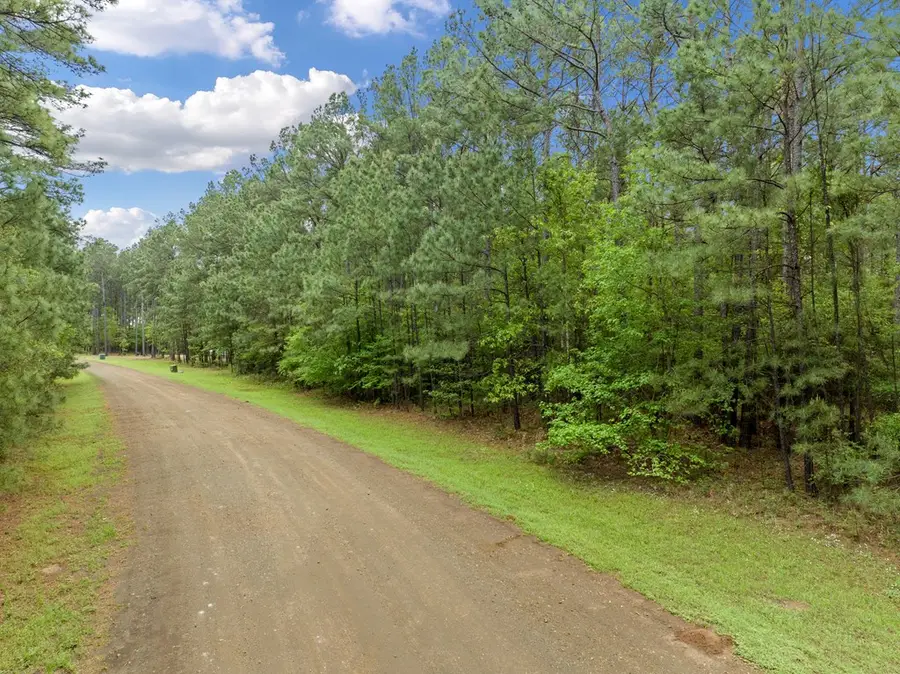 261 Private Road 8525, Broaddus, TX 75929 - Image #2