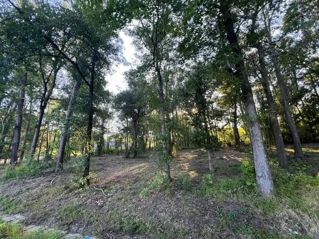 Lot 8 Minnie Lou, Lufkin, TX 75904 - #1