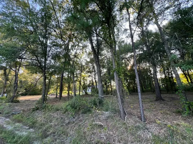 Lot 8 Minnie Lou, Lufkin, TX 75904 - #2