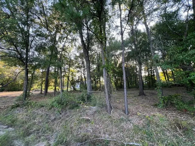 Lot 8 Minnie Lou, Lufkin, TX 75904 - #3