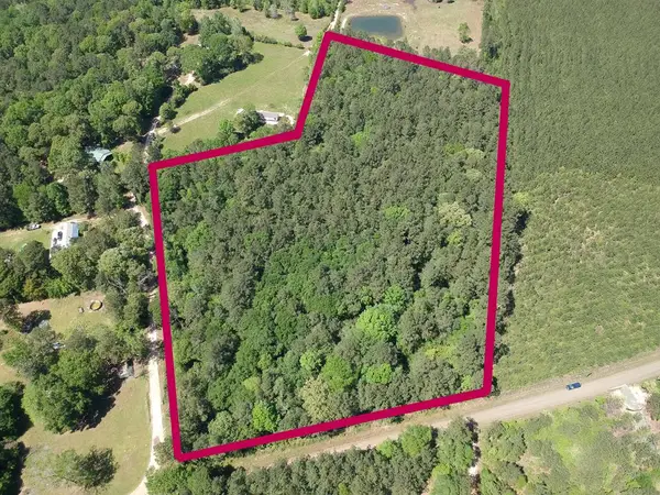 R5106 County Road 4415, Spurger, TX 77660