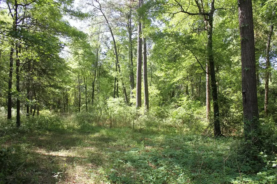 1013 Thigpen Road, Pollok, TX 75969 - Image #2