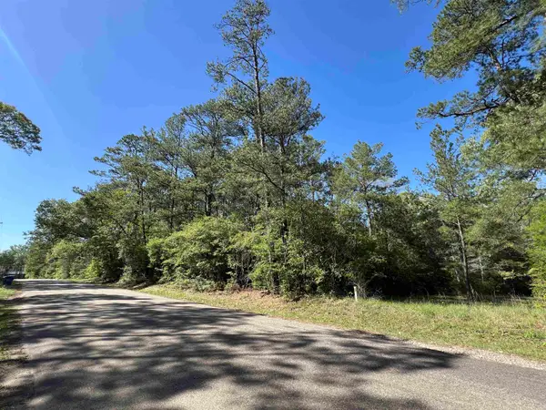 370 Cr 222, Brookeland, TX 75931