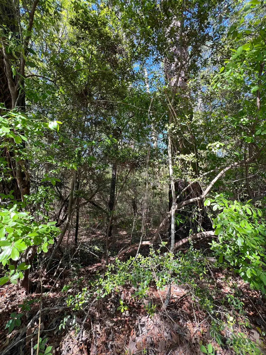 370 Cr 222, Brookeland, TX 75931 - #3