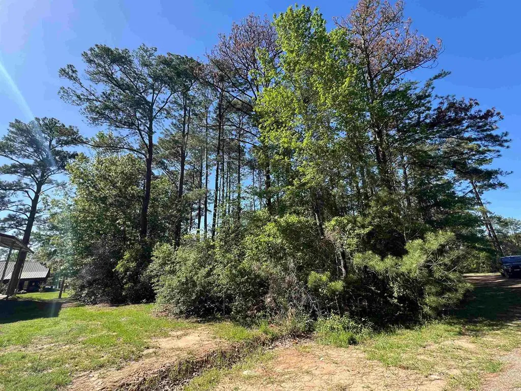 201 Post Oak Lane, Brookeland, TX 75931 - Image #1