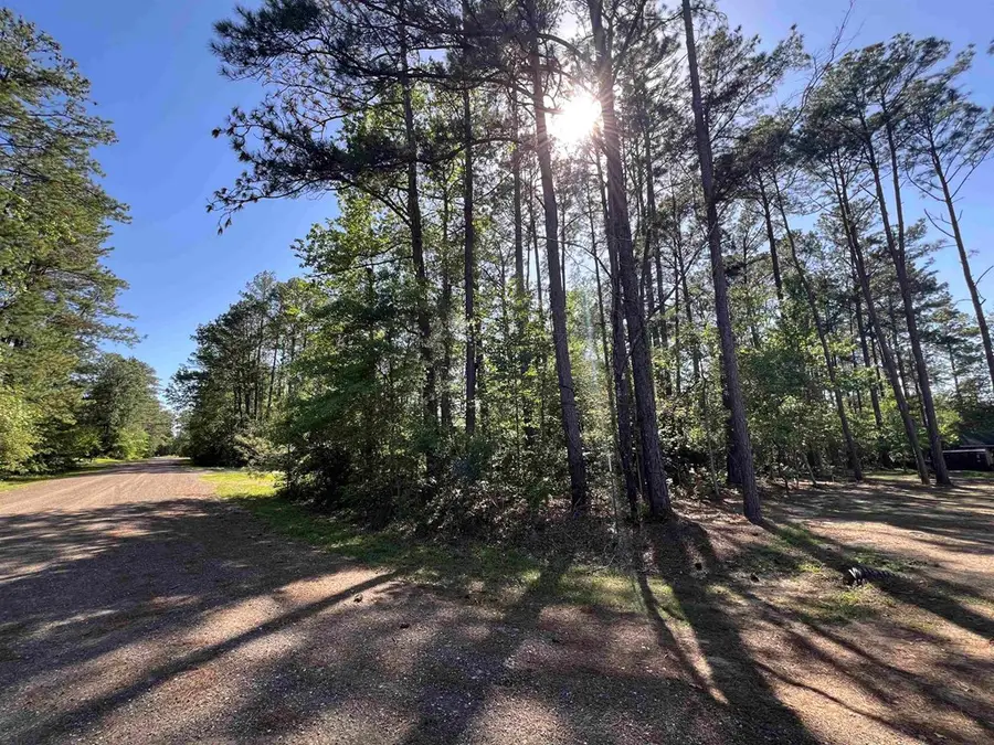 201 Post Oak Lane, Brookeland, TX 75931 - Image #2