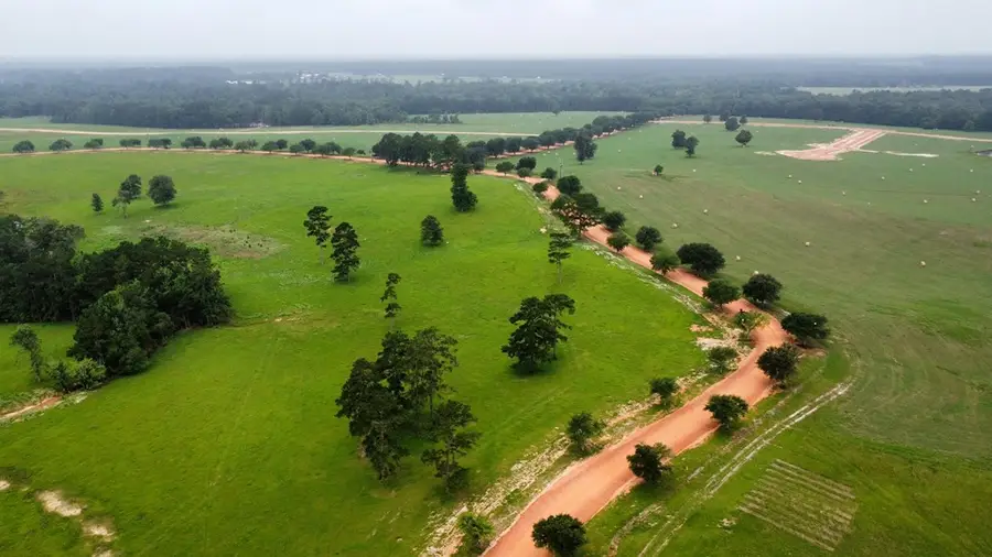 Lot 64 Lakeland Ranch, Hillister, TX 77624 - #2