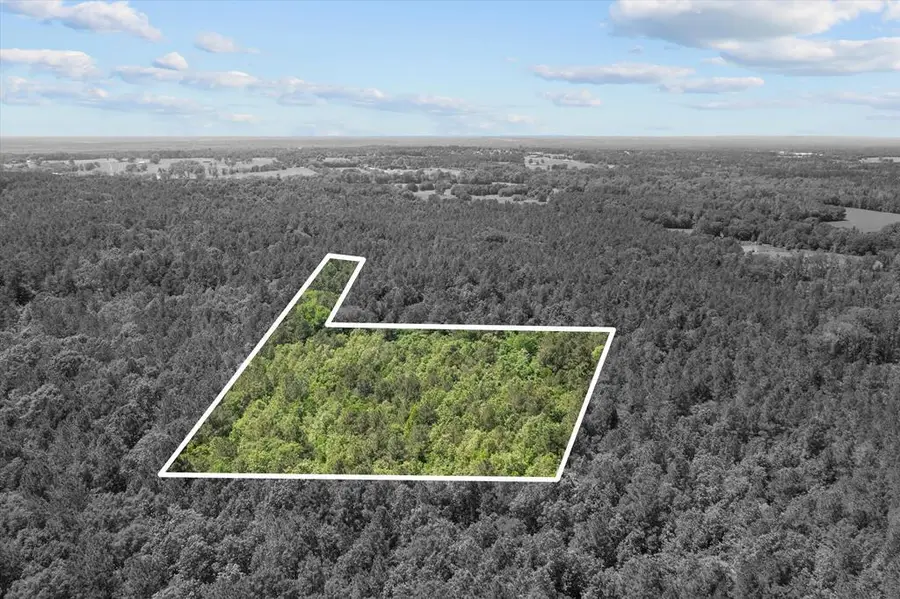 3994 County Road 774, Douglass, TX 75943 - Image #3