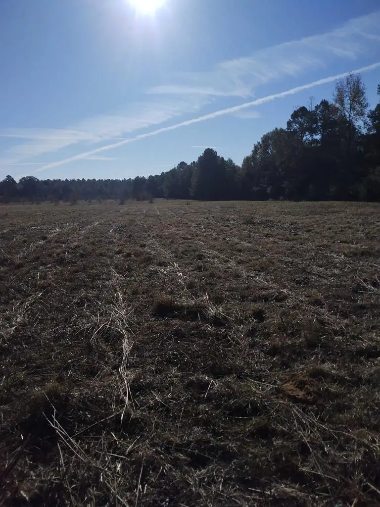 00 County Road 4868, Timpson, TX 75975 - Image #1