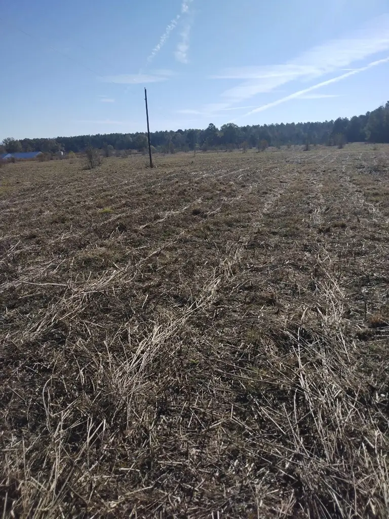 00 County Road 4868, Timpson, TX 75975 - Image #2