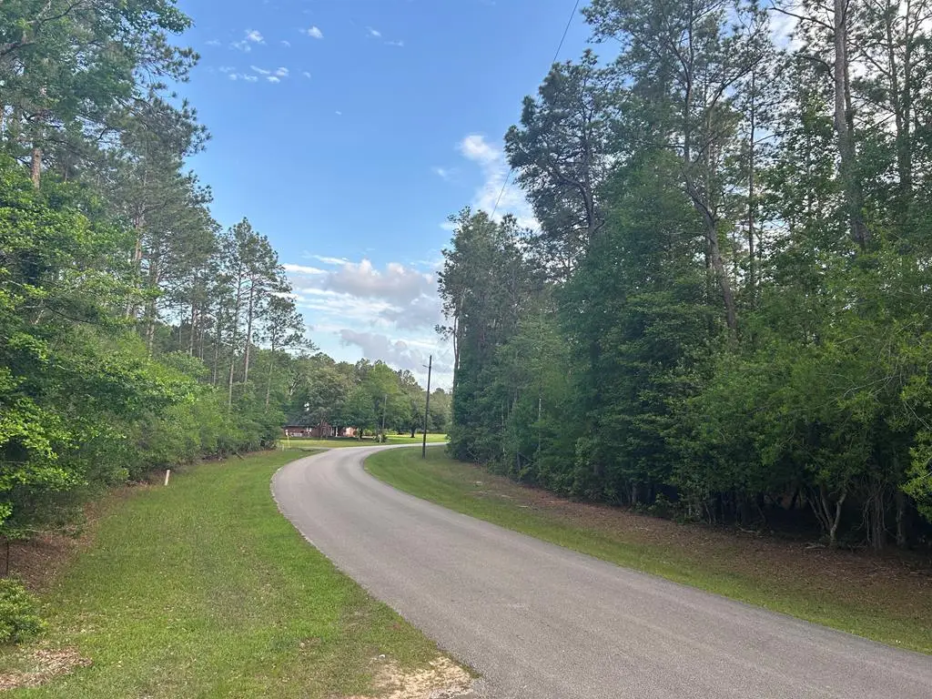 LOT 8 & 9 Wildwood Drive, Village Mills, TX 77663 - Image #1