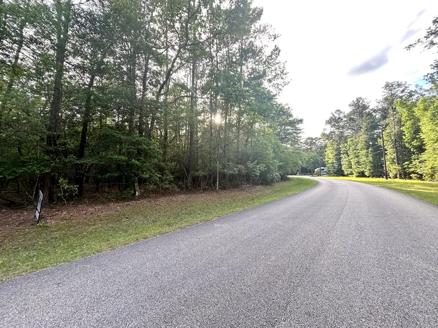 LOT 8 & 9 Wildwood Drive, Village Mills, TX 77663 - Image #2