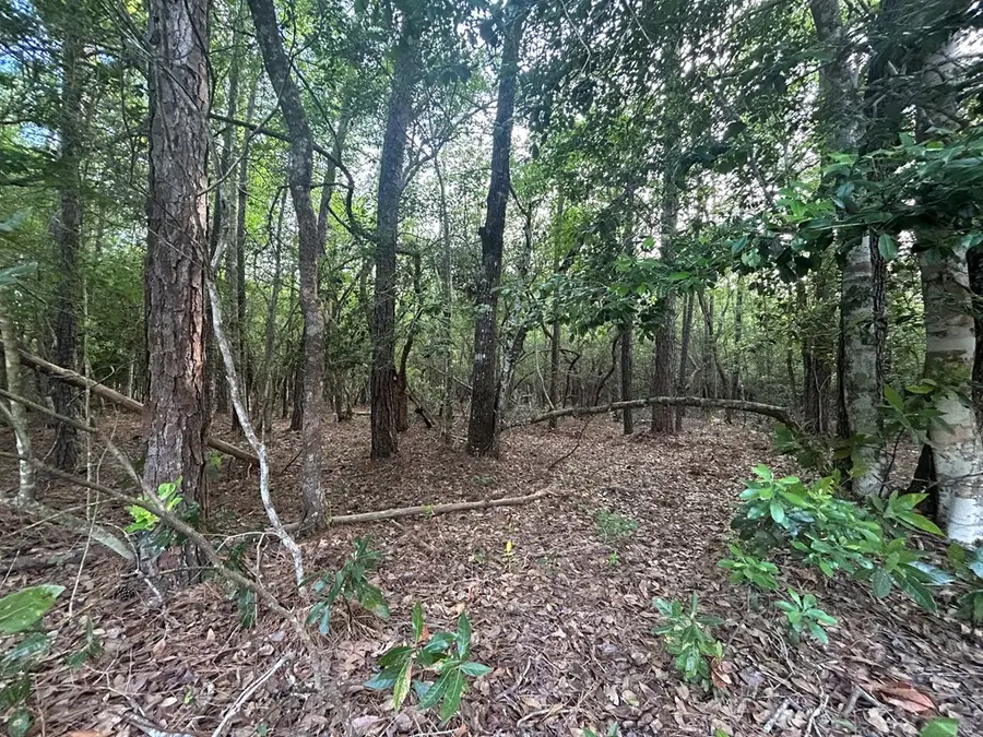 LOT 8 & 9 Wildwood Drive, Village Mills, TX 77663 - Image #3