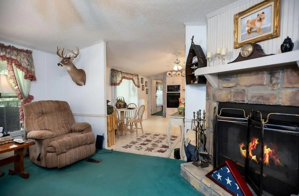 369 Mulberry Lane, Zavalla, TX 75980 - Image #1